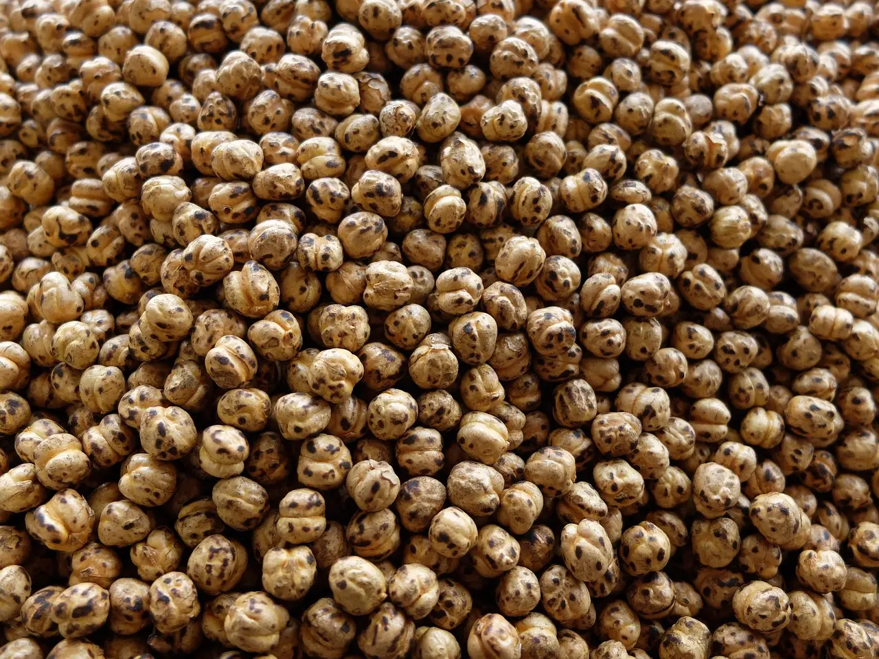 Chickpeas