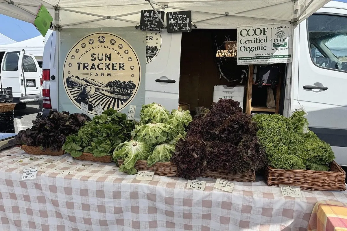 Organic Food in Australia
