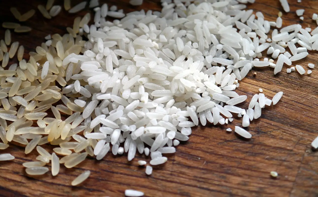 Jasmine Rice