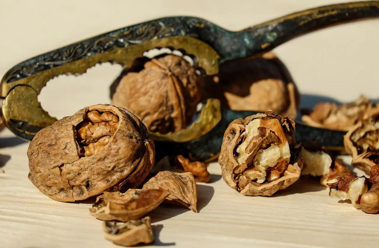 Nuts