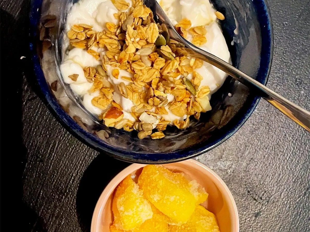 Yogurt, from Tia’s kitchen